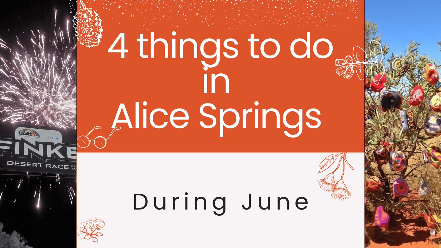 4 Must-Do Activities in and around Alice Springs this June - Red Kangaroo Books