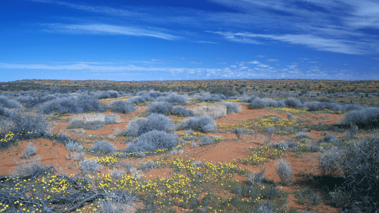 Book Launch: Steve Morton and Mike Gillam with Professor Tom Griffiths, Australian Deserts: Ecology and Landscapes - Red Kangaroo Books