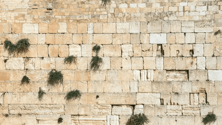 Wall of tears by author David Kerr. In-store event on 7 August at 11am. - Red Kangaroo Books