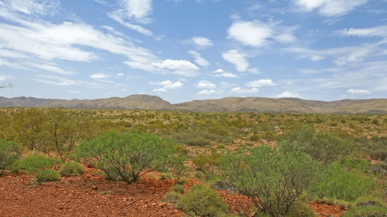 Your Booksellers' ICYMI 50 - Must read Australian books you might have missed! - Red Kangaroo Books