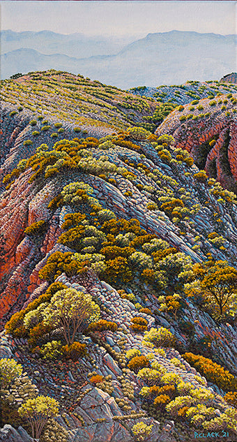 Tranquility Greeting Card by Pauline Clack