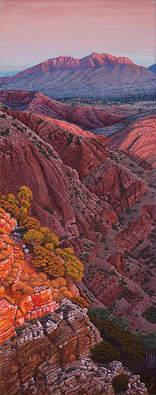 Zyzomus View Greeting Card by Pauline Clack