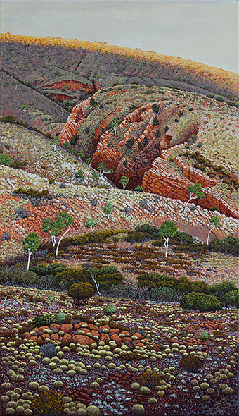 The Curve of the World by Pauline Clack