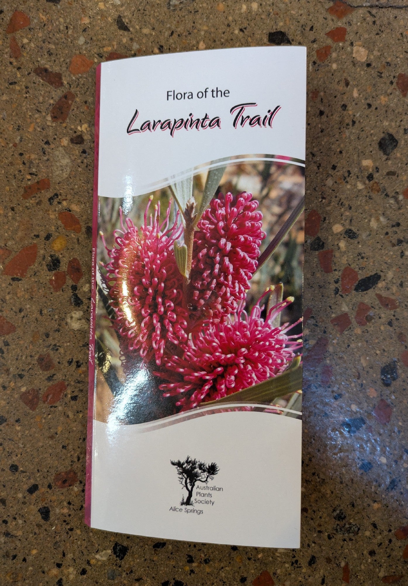 Flora of the Larapinta Trail by Australian Plants Society