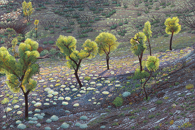 Regrowth by Pauline Clack card