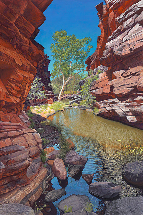 Valley of the Eagles by Pauline Clack card
