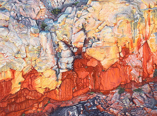 Wall of Lichen card by Pauline Clack