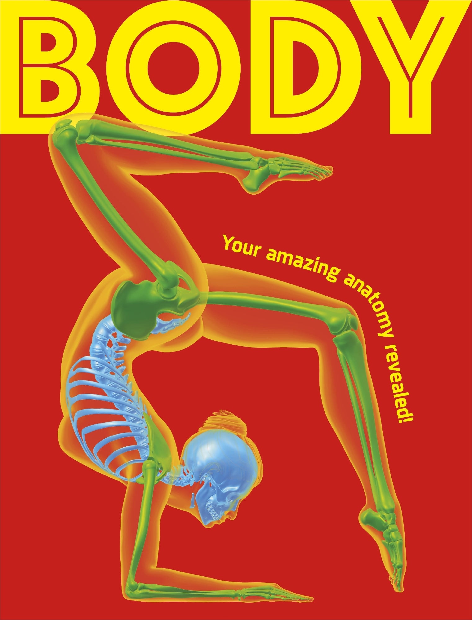 Body: Your Amazing Anatomy Revealed! (Out 11 August 2026)