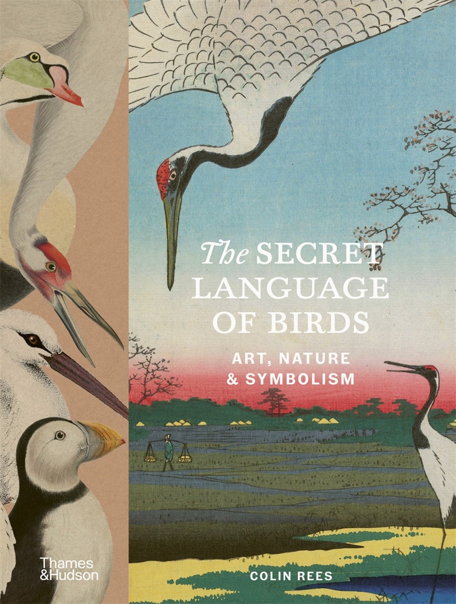 The Secret Language of Birds by Colin Rees (out 25 August 2026)