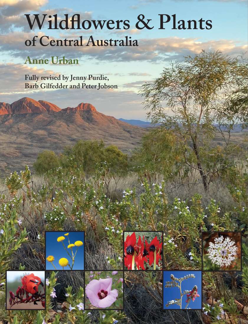 Wildflowers and Plants of Central Australia by Anne Urban