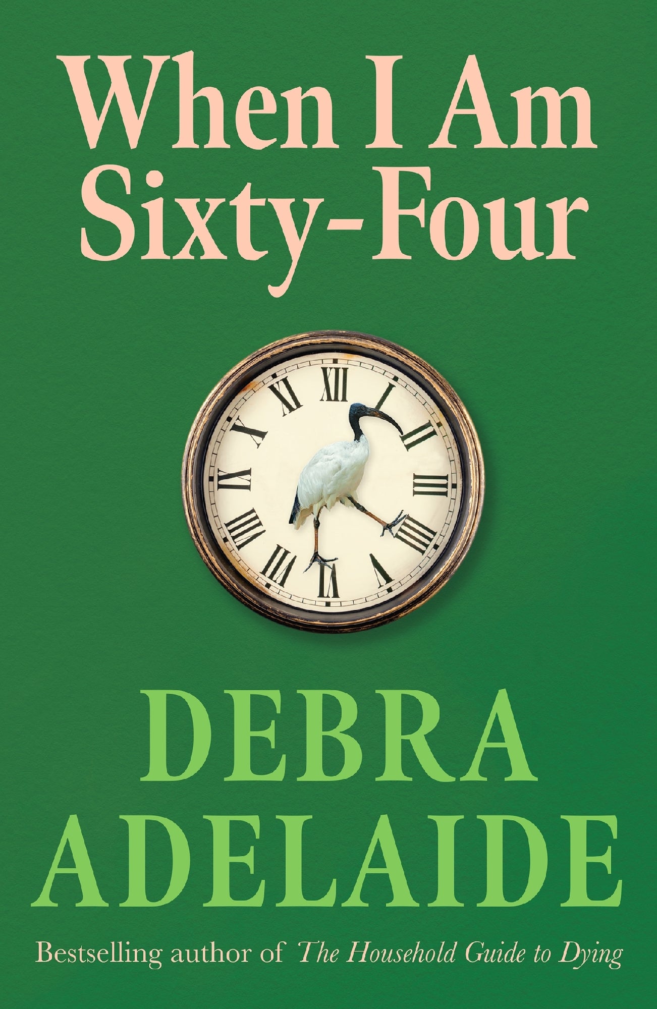 When I Am Sixty-Four by Debra Adelaide