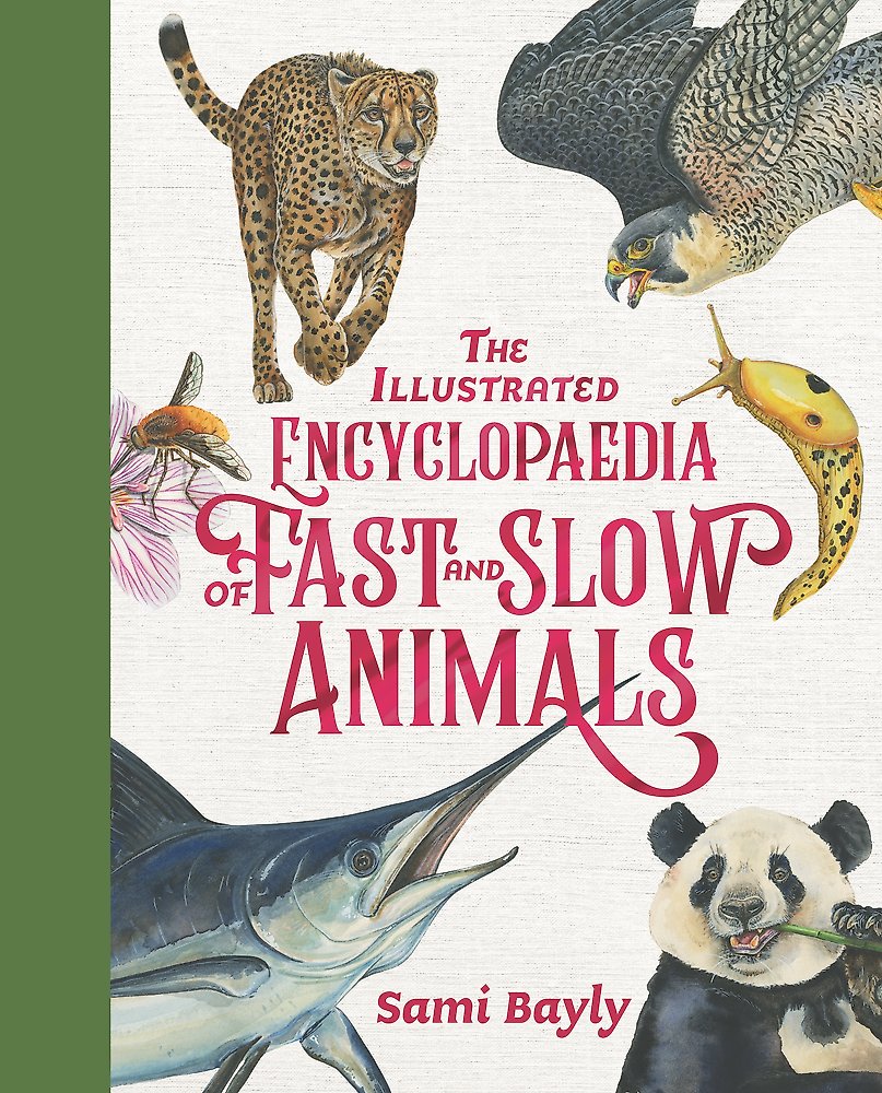 The Illustrated Encyclopaedia of Fast and Slow Animals by Sami Bayly (out 30 September 2025)