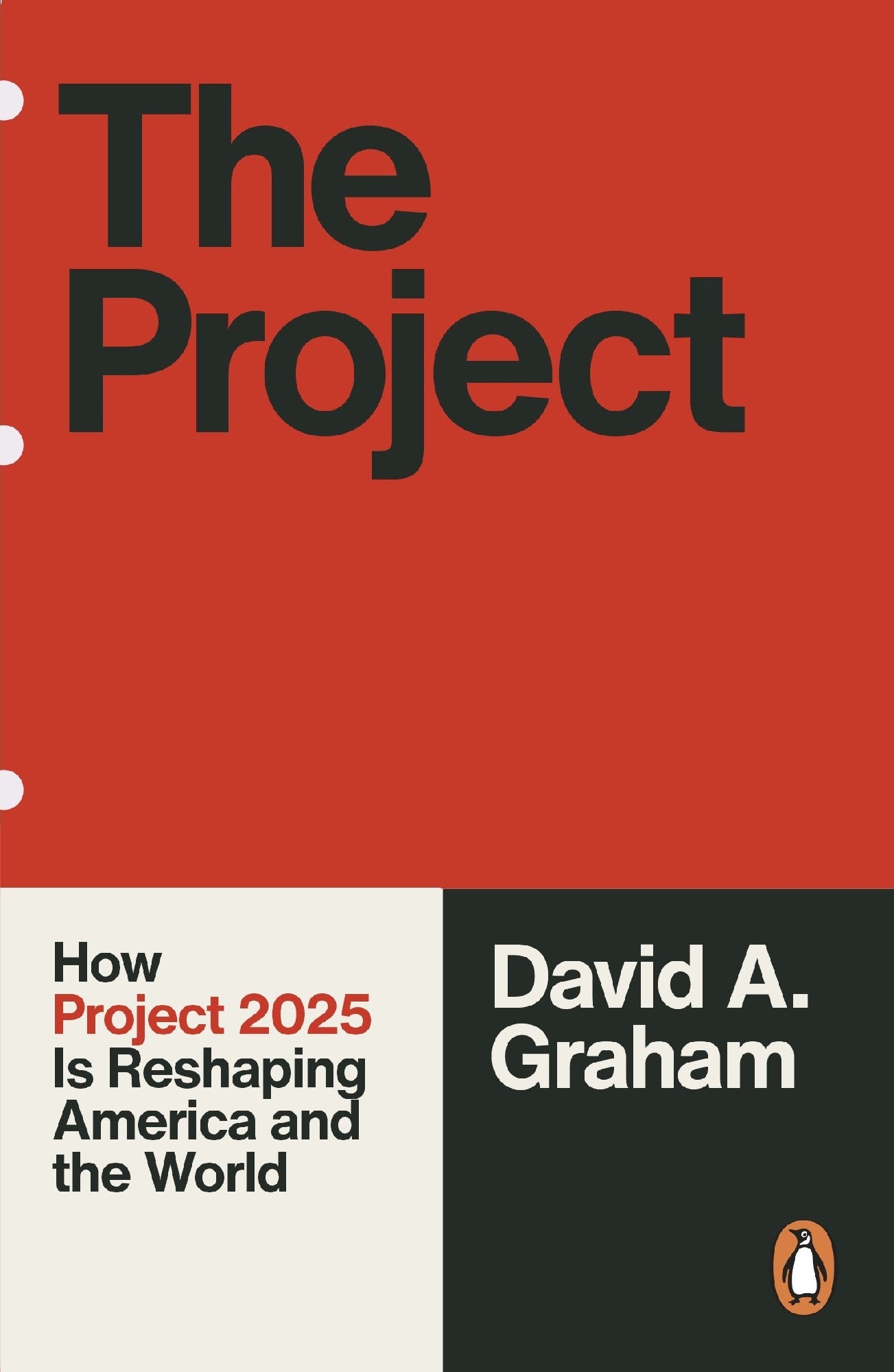 The Project by David A Graham