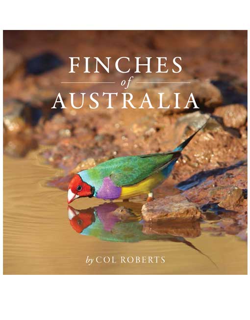 Finches of Australia