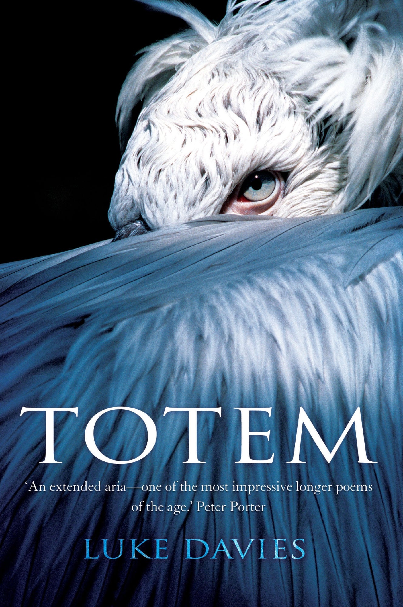 Totem by Luke Davies