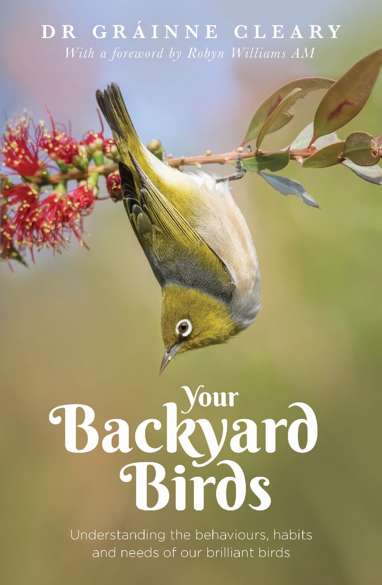 Your Backyard Birds Understanding the behaviours, habits and needs of our brilliant birds by Dr Grainne Cleary