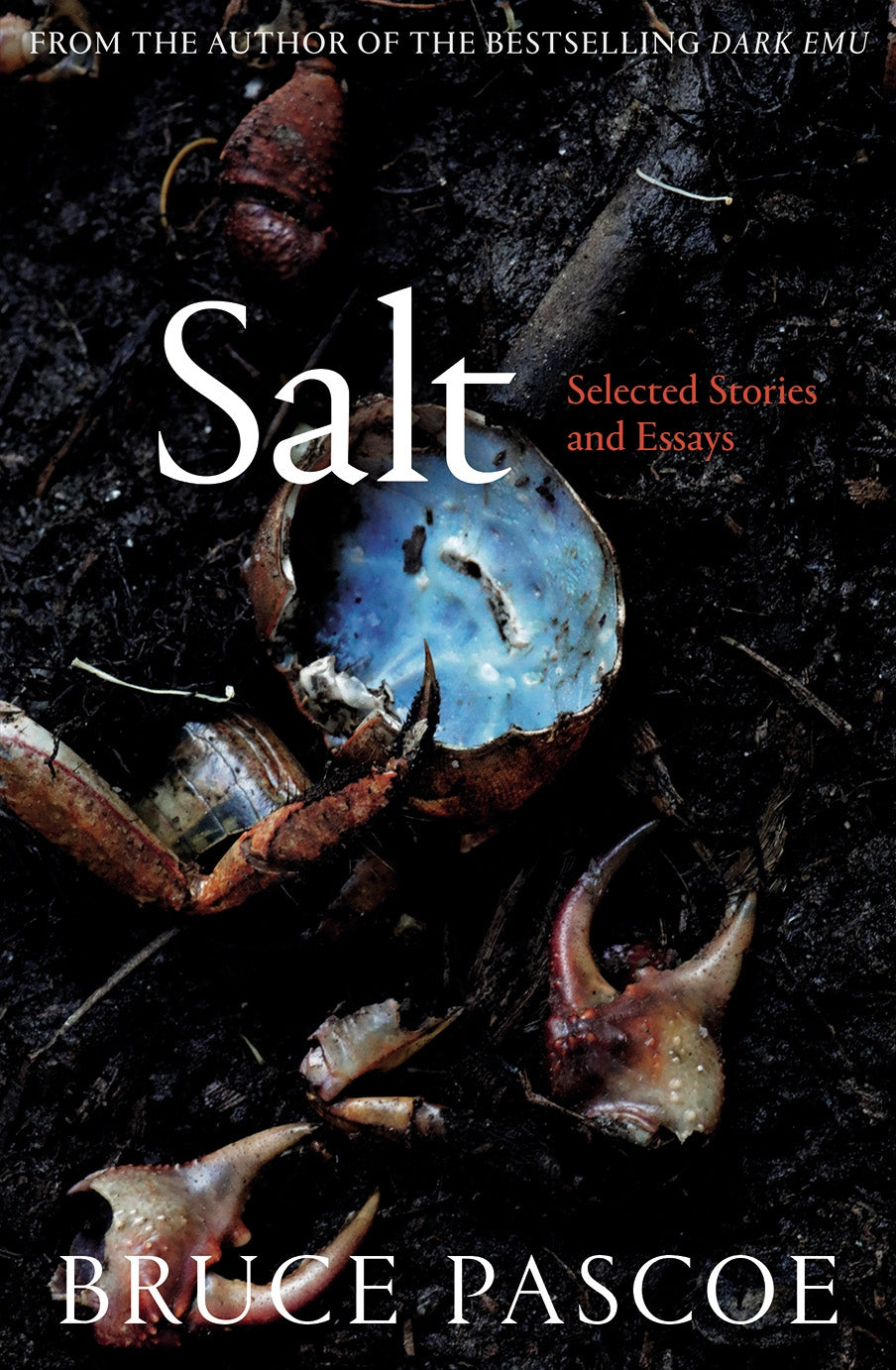 Salt Selected Stories and Essays by Bruce Pascoe