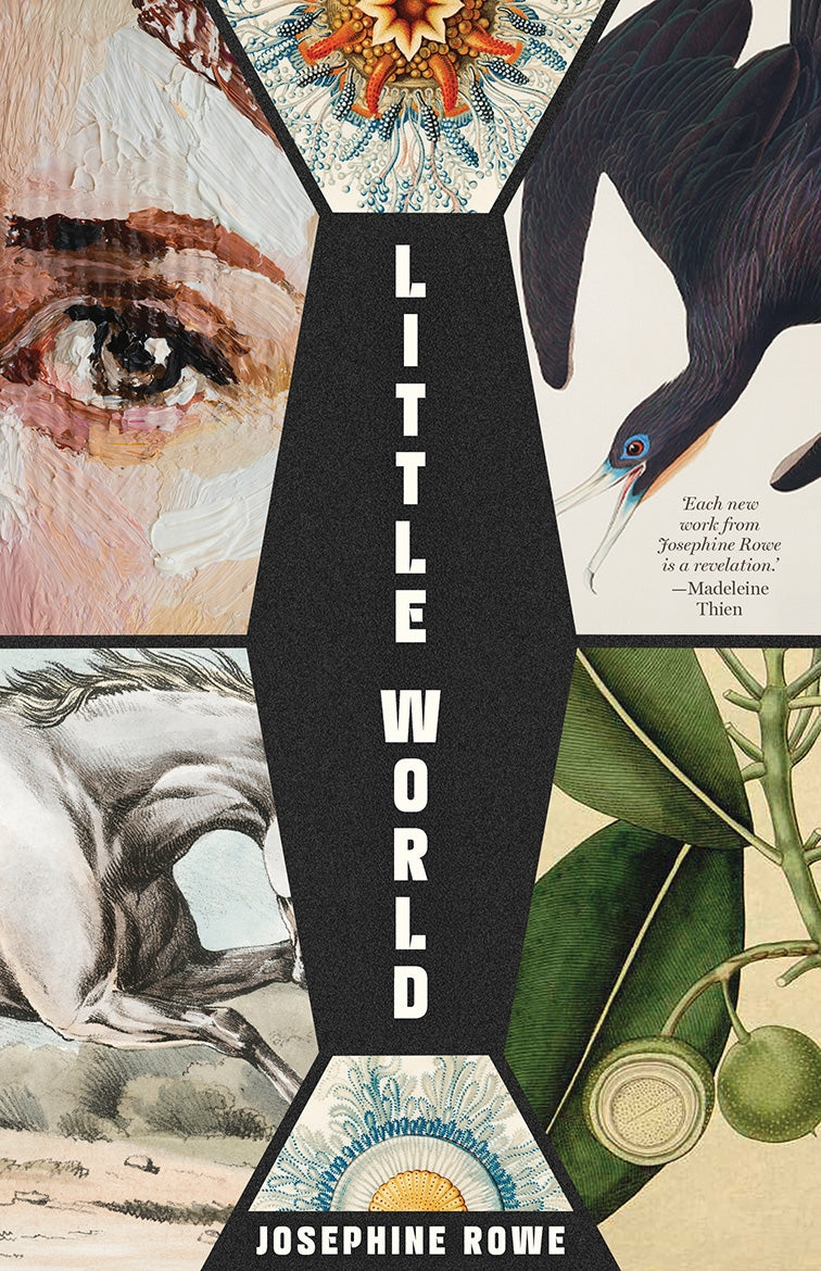 Little World: A Novel by Josephine Rowe