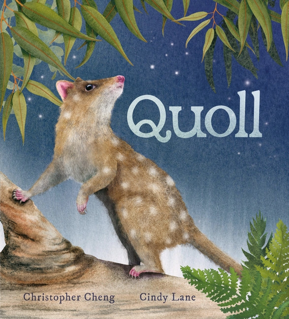 Quoll by Christopher Cheng & Cindy Lane