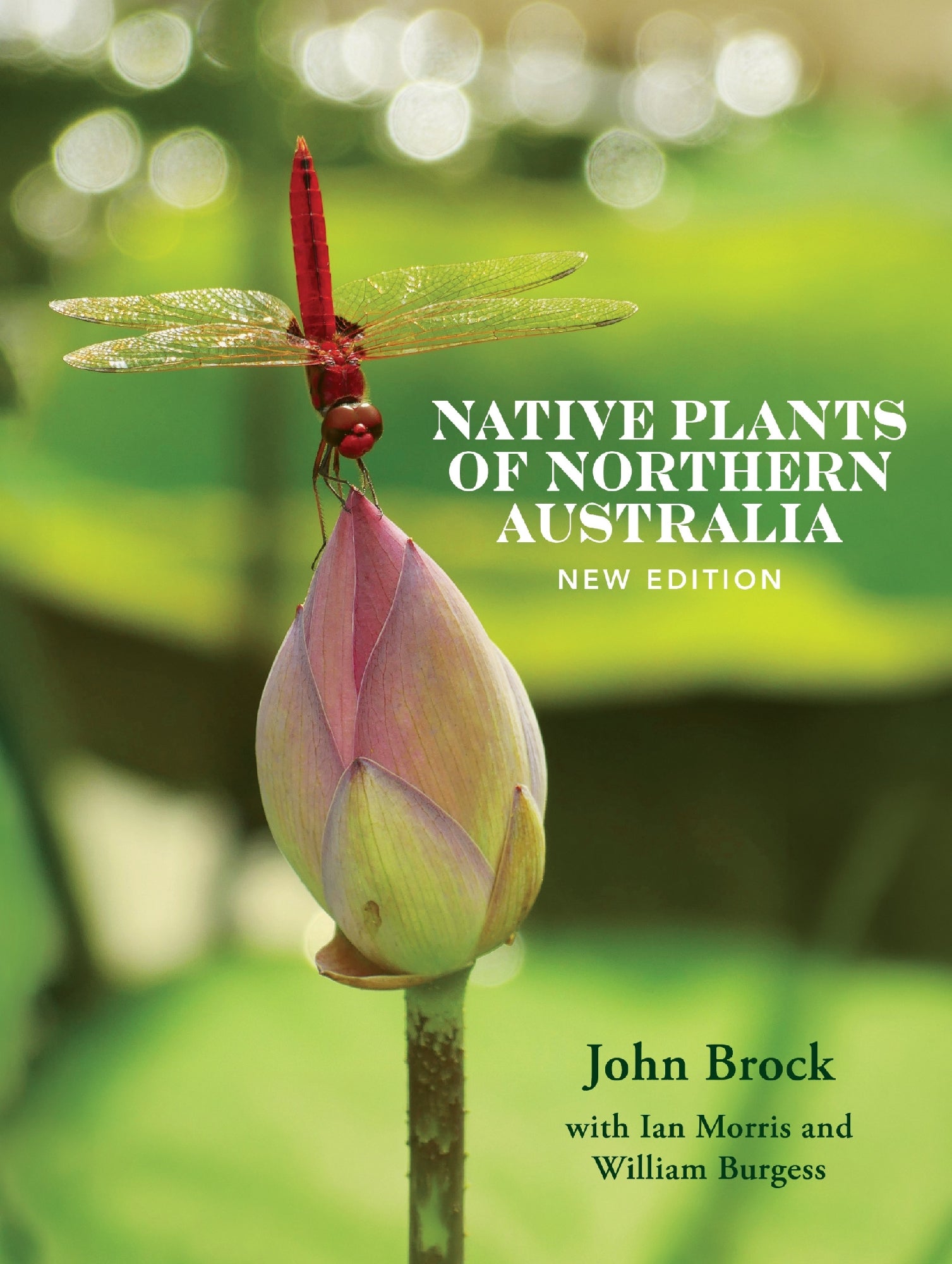 Native Plants Of Northern Australia by John Brock with Ian Morris and WIlliam Burgess