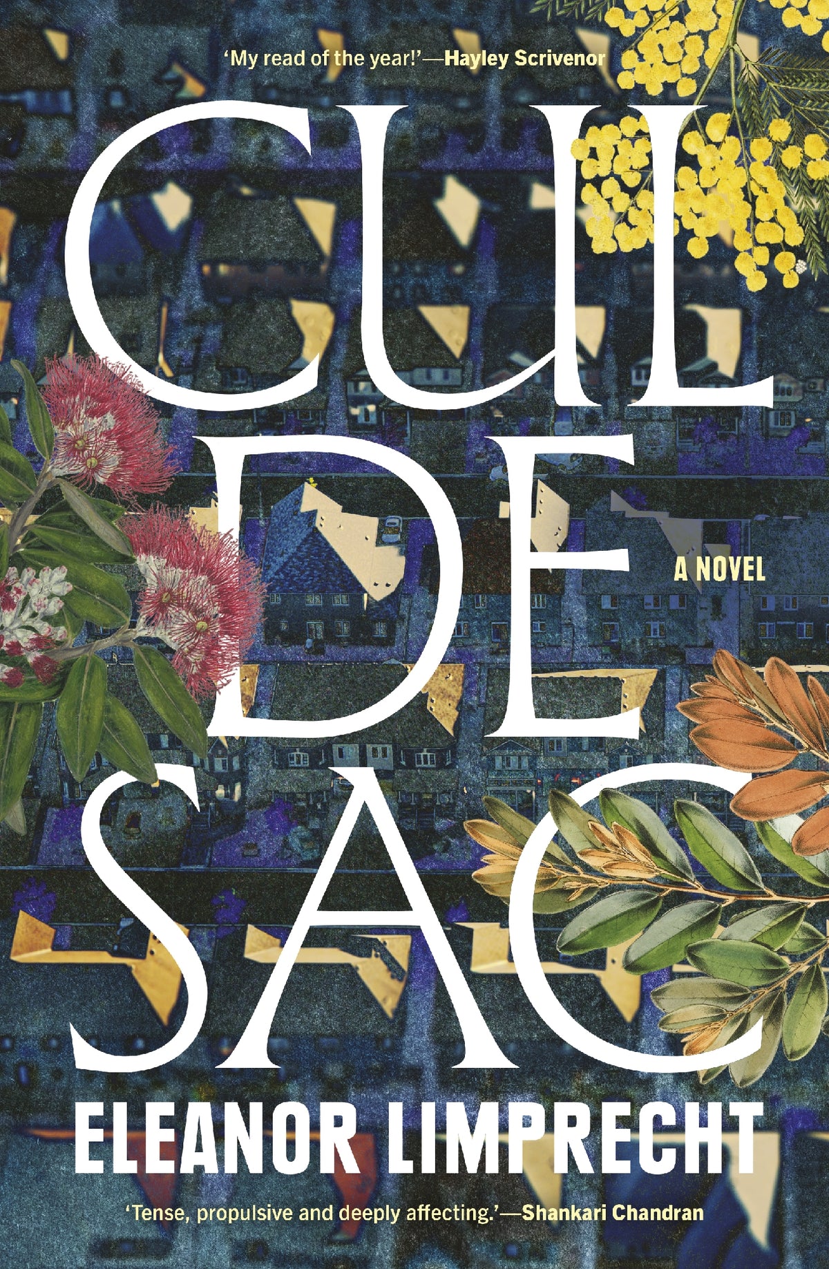 Cul-de-Sac by Eleanor Limprecht