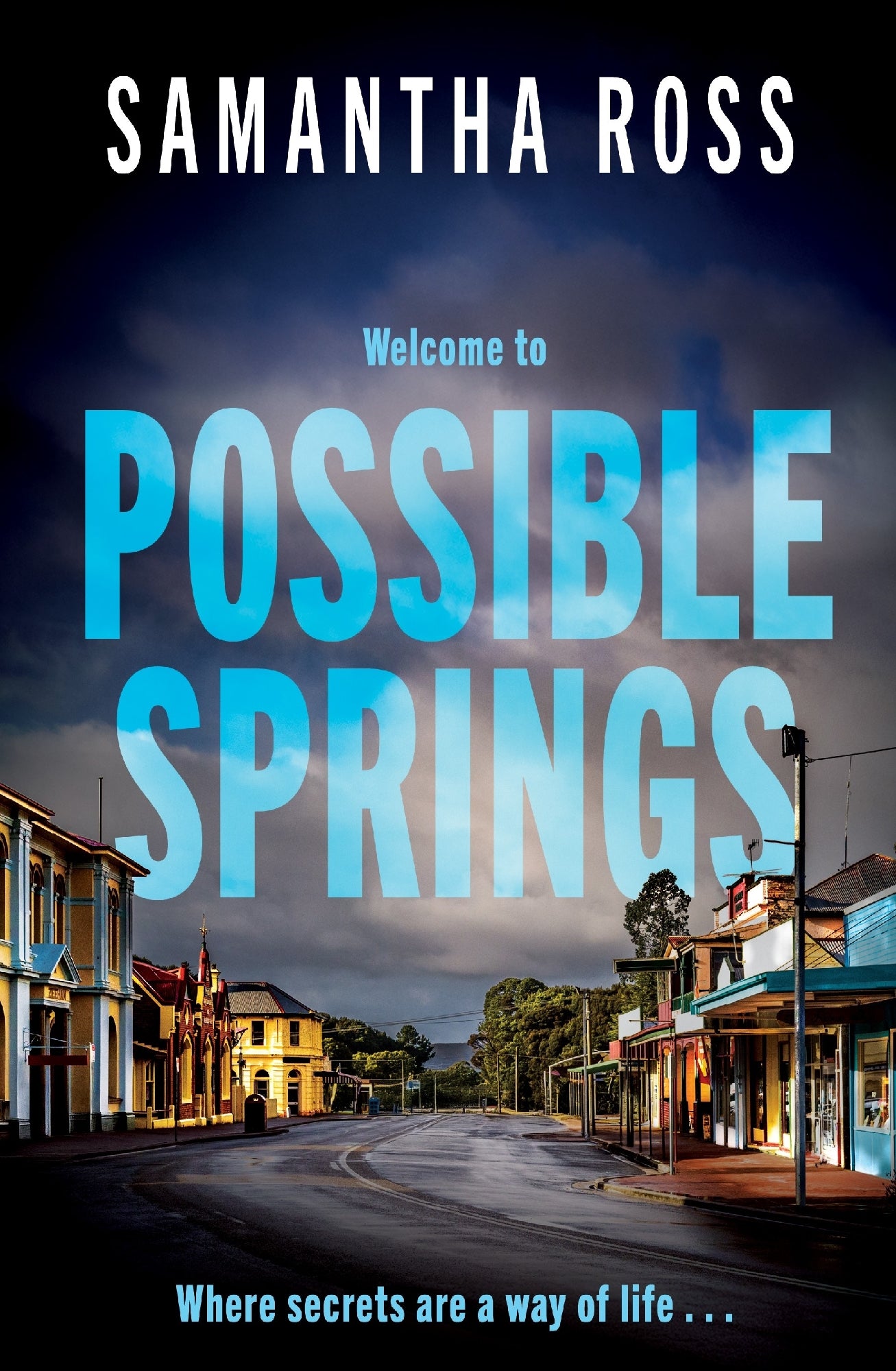 Possible Springs by Samantha Ross