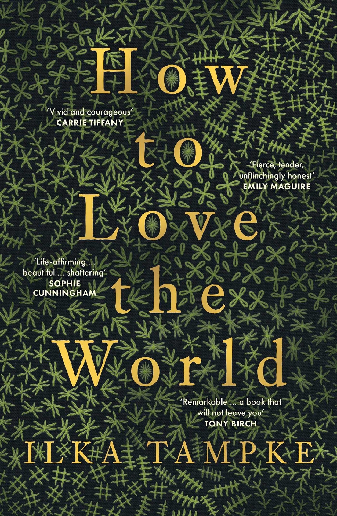 How to Love the World by Ilka Tampke