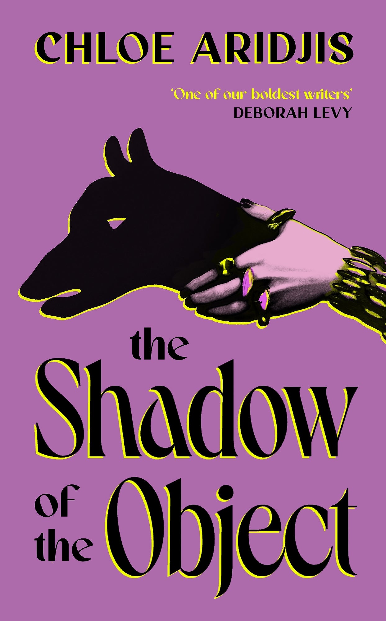 The Shadow of the Object by Chloe Aridjis (out 17 August 2026)