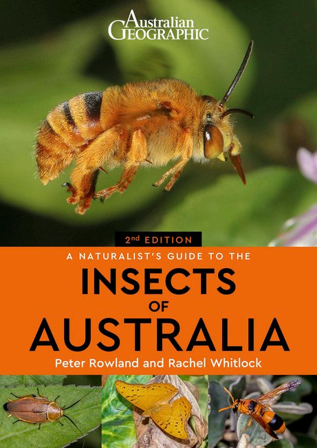 Australian Geographic Naturalist's Guide to the Insects of Australia by Peter Rowland & Rachel Whitlock