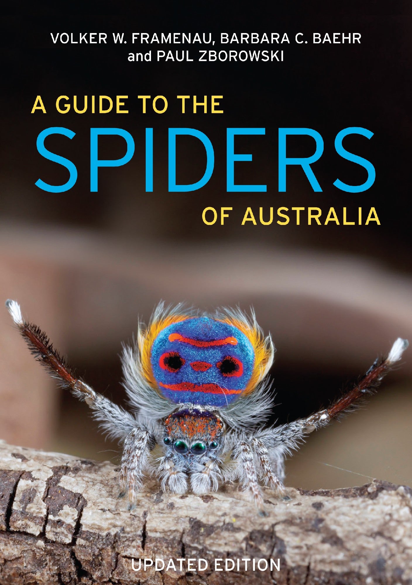 A Guide to Spiders of Australia (UPDATED EDITION)