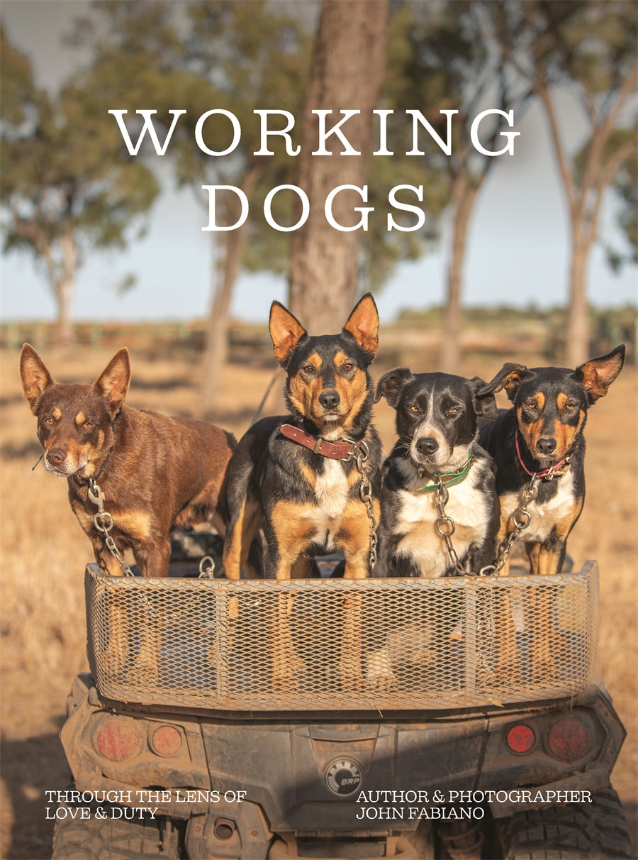 Working Dogs: Through the Lens of Love & Duty by John Fabiano