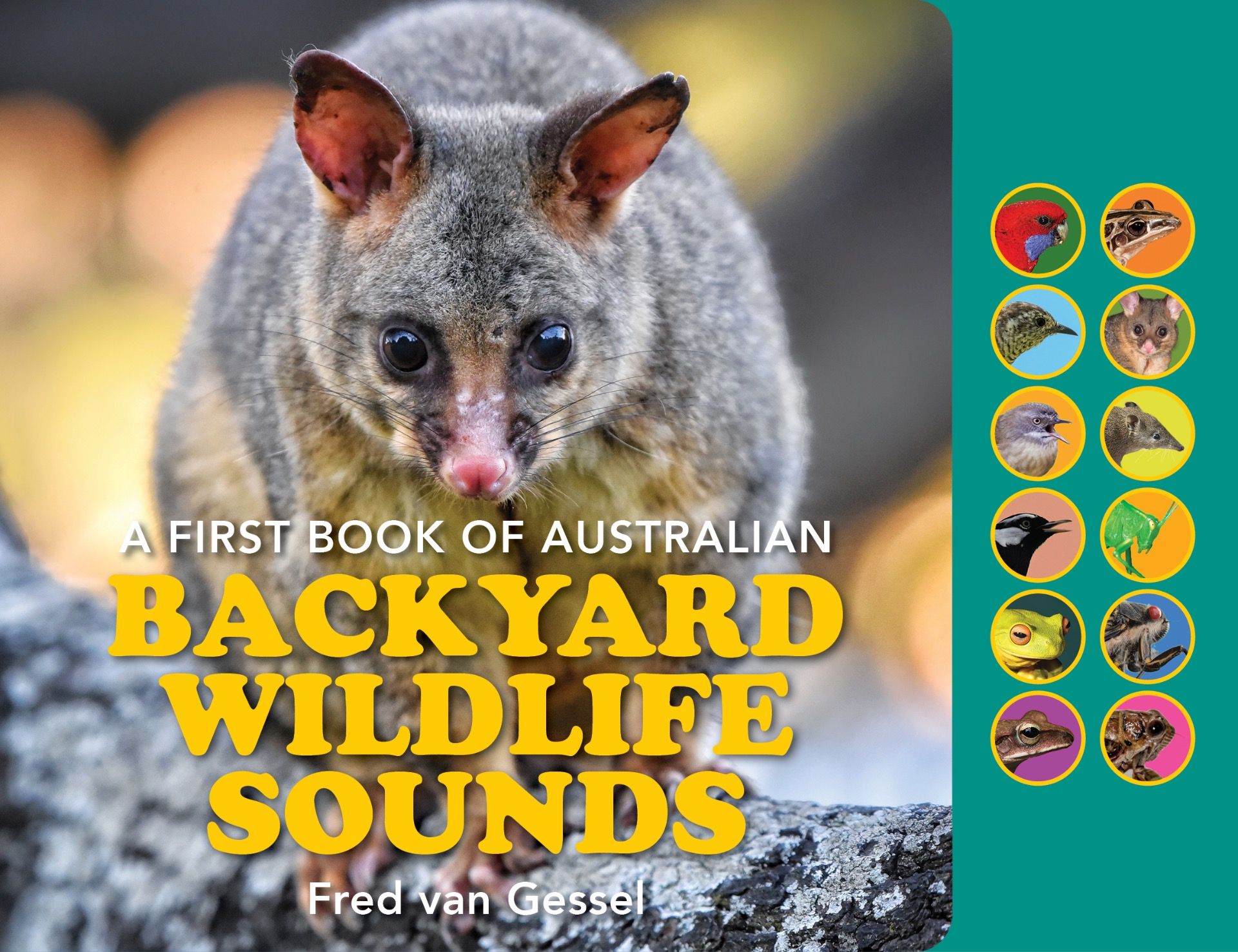 A First Book Of Backyard Wildlife Sounds