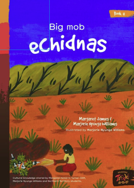 Big Mob Echidnas # 11 by Margaret Kemarre Turner Oam with Margaret James