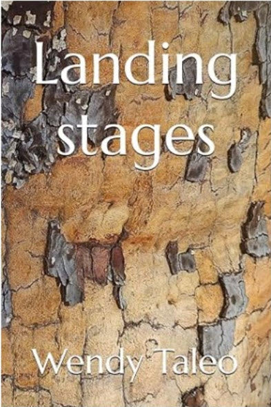 Landing Stages by Wendy Taleo