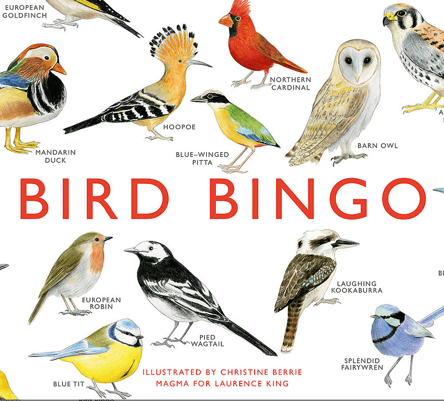Bird Bingo - Red Kangaroo Books