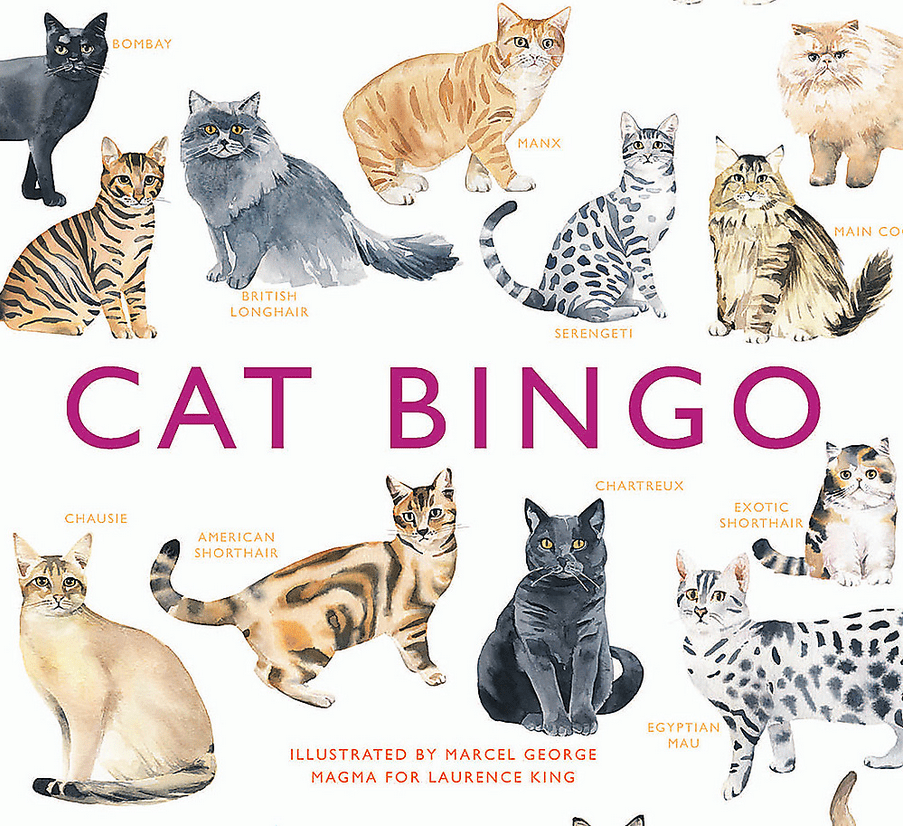 Cat Bingo - Red Kangaroo Books
