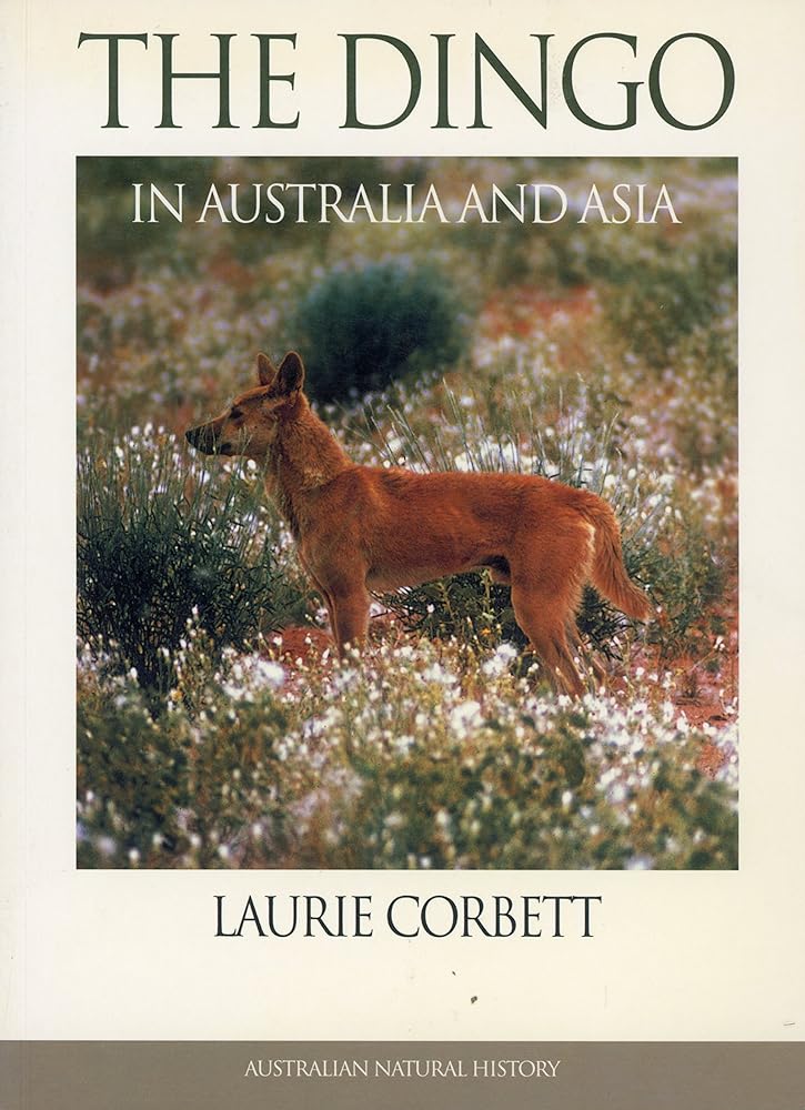 Dingo in Australia and Asia by Laurie Corbett