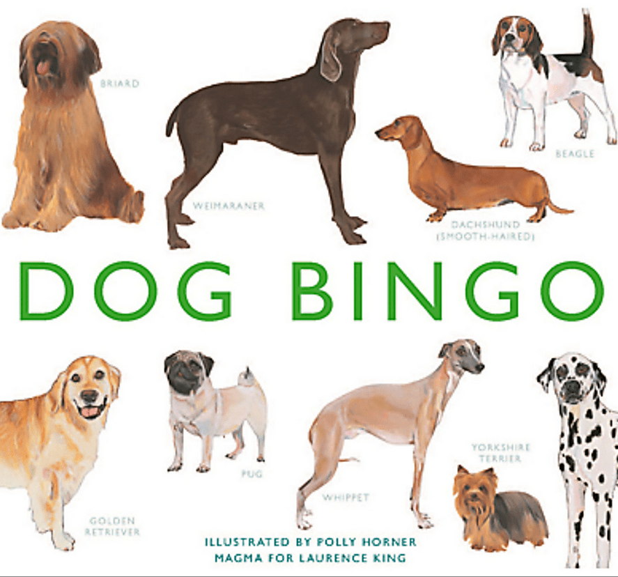 Dog Bingo - Red Kangaroo Books
