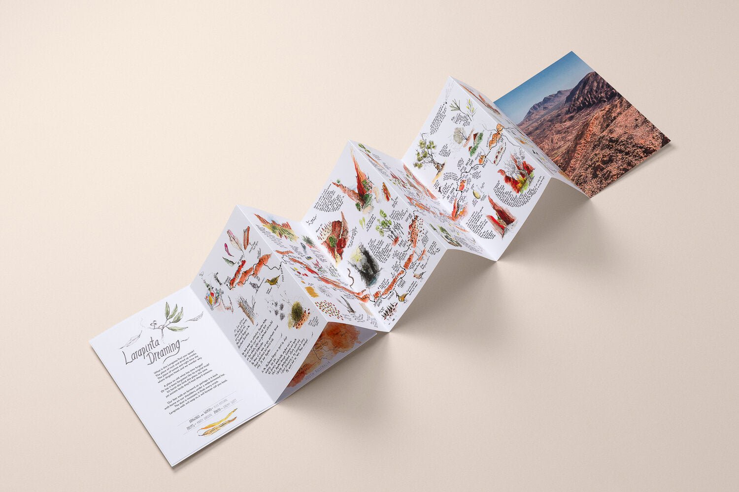 Larapinta Dreaming by Alex Hotchin - Red Kangaroo Books