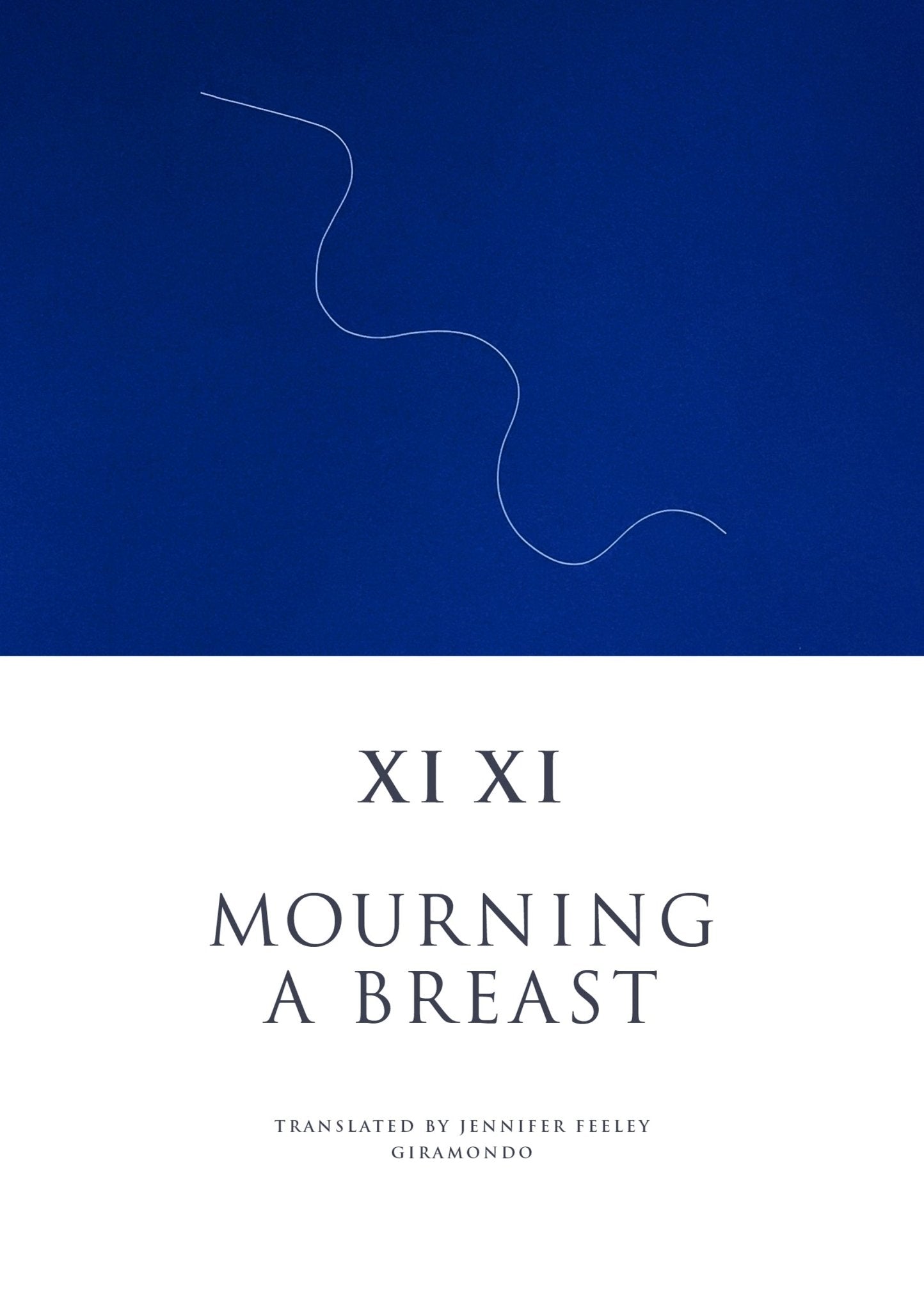 Mourning a Breast by Jennifer Feeley - Red Kangaroo Books - 9781923106109