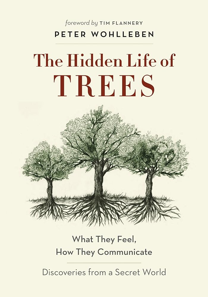 The Hidden Life of Trees by Peter Wohlleben - Red Kangaroo Books - 9781863958738
