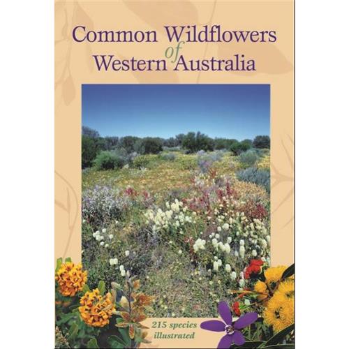 Common Wildflowers of Western Australia 215 species illustrated - Red Kangaroo Books