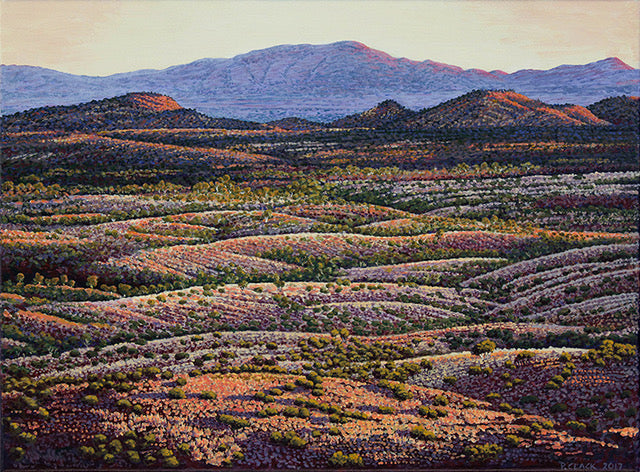 Looking North from Chewings Range Greeting Card by Pauline Clack 