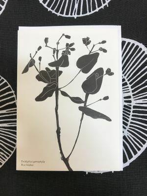 Blue Mallee by Siri Omberg