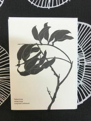 Long-Leaf Corkwood by Siri Omberg