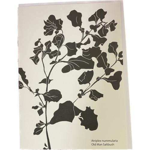 Old Man Salt Bush by Siri Omberg