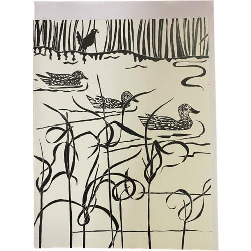 Three ducks swimming Siri card