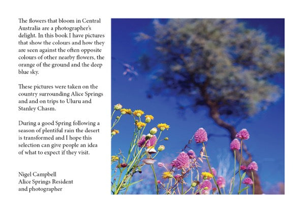Central Australian Flowers by Nigel Campbell