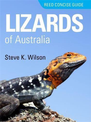 Lizards of Australia by Steve K Wilson - Red Kangaroo Books