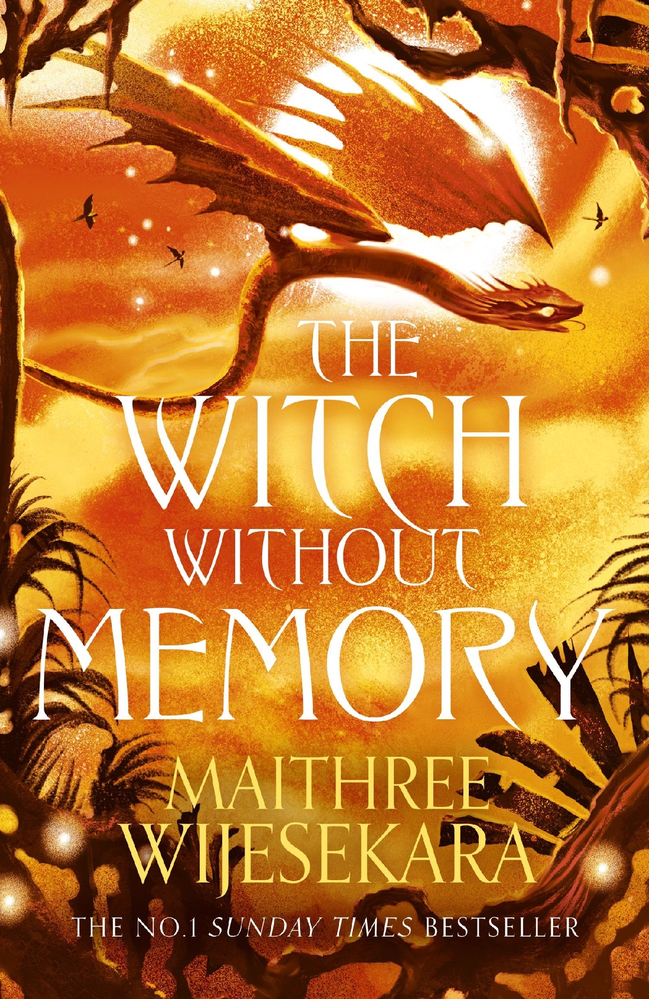 Witch Without Memory by Wijesekara, Maithree